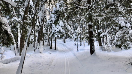 20191215_Chassell_03