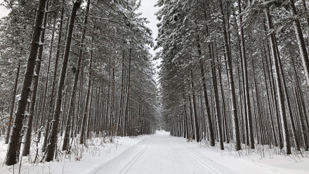 20200119_Swedetown_02