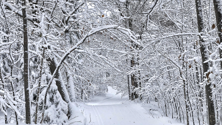 20200119_Swedetown_04