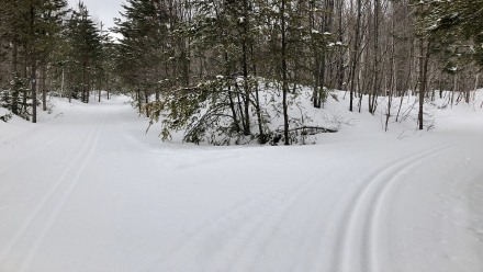 20200316_ChurningRapids_02