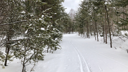 20200316_ChurningRapids_04