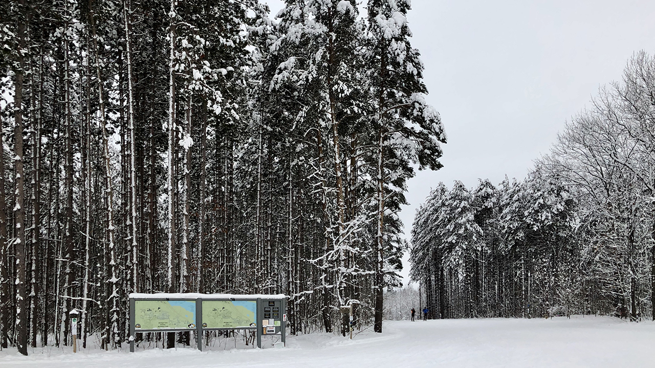 20200317_MichiganTech_01