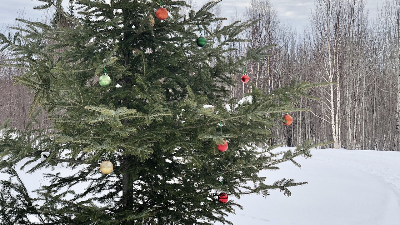 20200318_MaastoHiihto_01