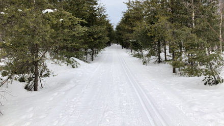 20200318_MaastoHiihto_02