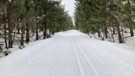 20200318_MaastoHiihto_03