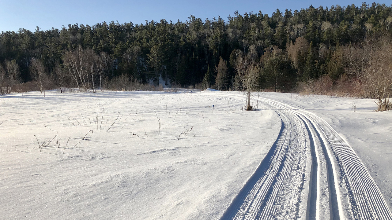 20200321_CopperHarborVillageFtWilkins_01