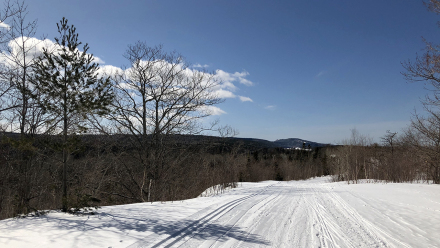 20200321_CopperHarborHorseshoeHarborLoopEastBluff_03