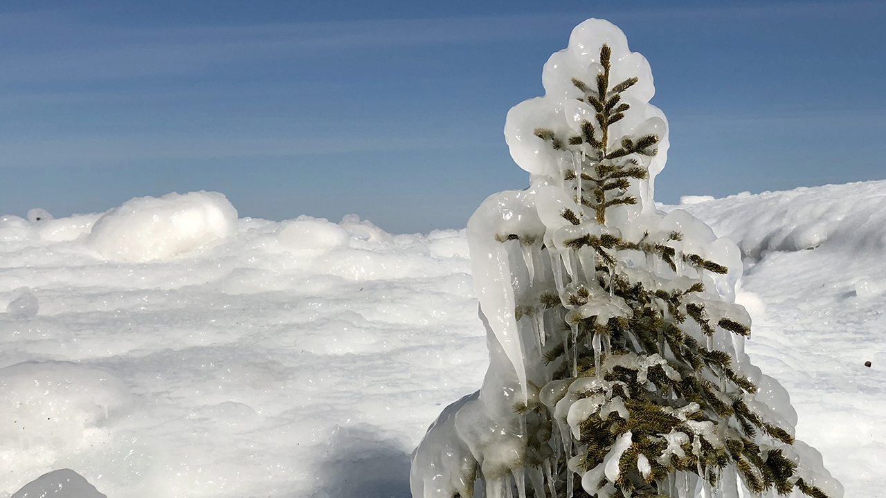 20200321_CopperHarborHorseshoeHarborLoopEastBluff_04