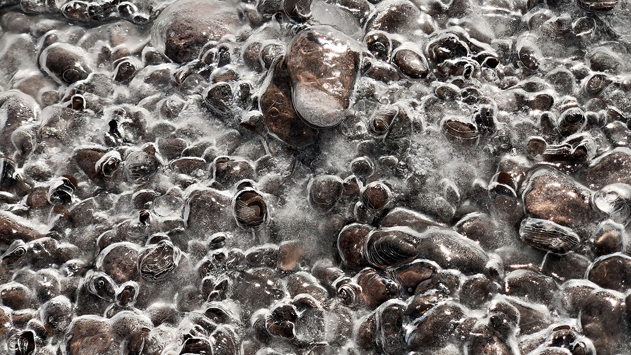 20200321_CopperHarborHorseshoeHarborLoopEastBluff_05