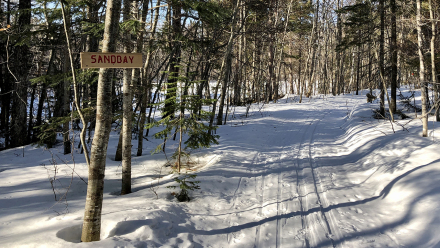 20200322_EagleHarbor_01