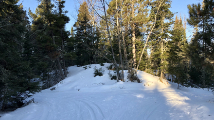 20200322_EagleHarbor_02