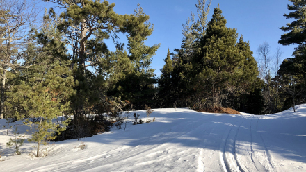 20200322_EagleHarbor_04