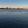 img_101-2400