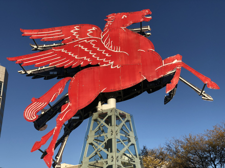 20181110_120811__img_2728