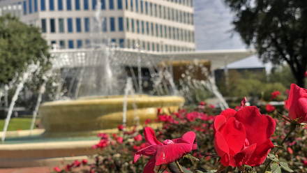 20181110_122030__img_2523