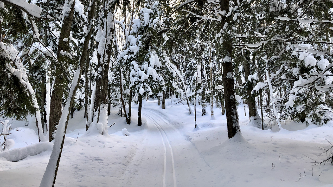 20191215_Chassell_03