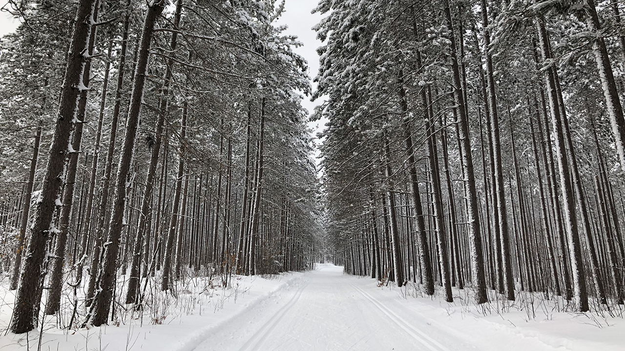 20200119_Swedetown_02