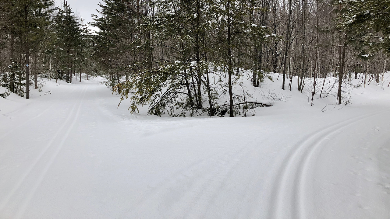 20200316_ChurningRapids_02