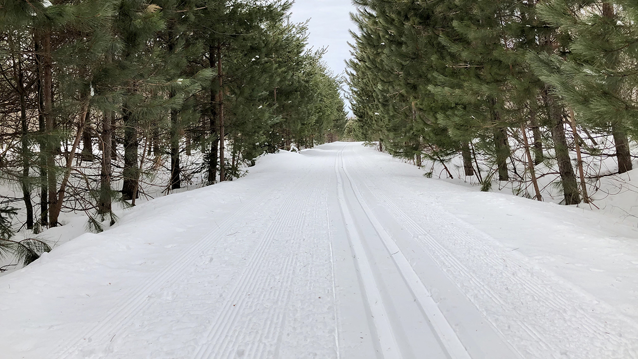 20200318_MaastoHiihto_03