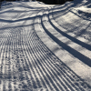 20191215_Chassell_02
