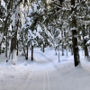20191215_Chassell_03