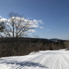 20200321_CopperHarborHorseshoeHarborLoopEastBluff_03