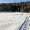 20200321_CopperHarborVillageFtWilkins_01