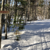 20200322_EagleHarbor_01