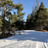 20200322_EagleHarbor_04