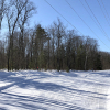 20200223_115234__img_0241