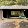 20200926_123810__img_1151