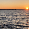 20200502_210215__img_2008