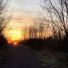 20200516_062217__img_2260