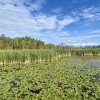 20200817_175738__img_0090