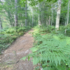 20200818_185945__img_0112