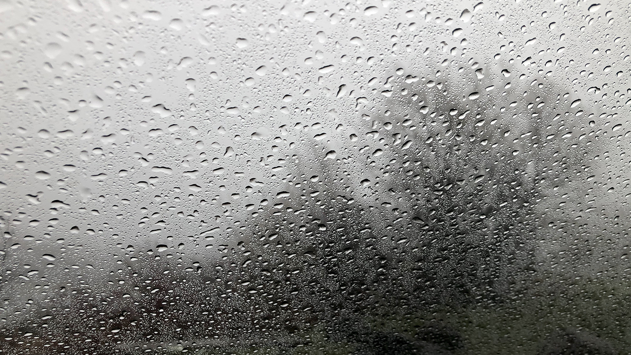 20200515_082606__img_2249