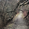 20200515_073153__img_2243