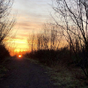 20200516_062217__img_2260