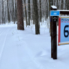 20210226_113503__img_3958