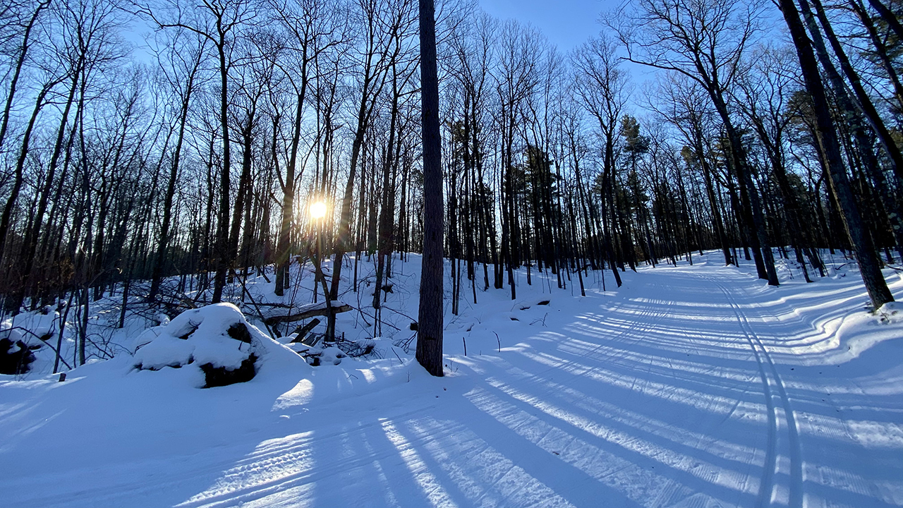 20210306_073721__img_4094