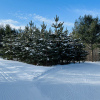 20220131_112957__img_1881