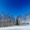 20220315_113749__img_2795