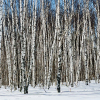 20220315_113804__img_2797