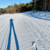20220320_090544__img_3080