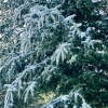 20220325_105435__img_3223