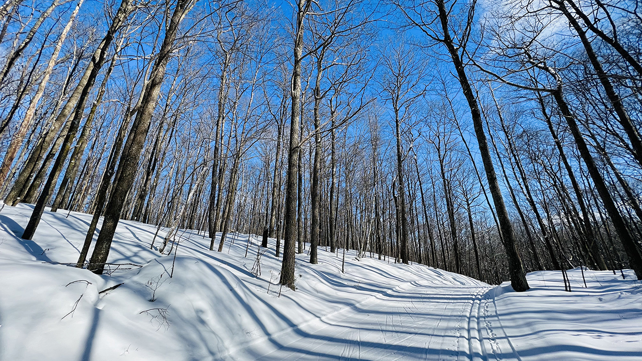 20220214_104901__img_2120