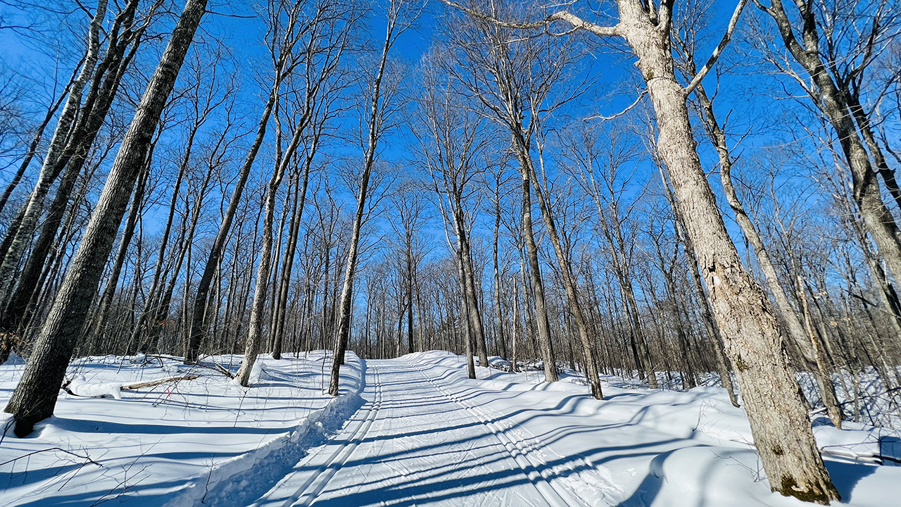 20220214_114452__img_2123