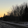 20240203_081733__img_7825