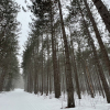 20250107_113622__img_5673