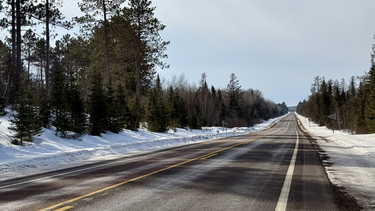 20260217_123708__img_4479